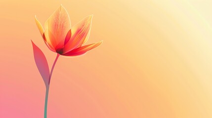 A single, orange tulip on a peach colored background.