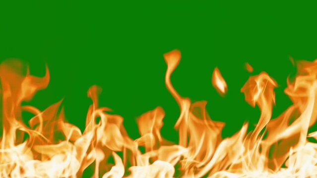 Abstract flames background. Fire burning, tongues of fire. Bright burning flames green chromakey background. Fire in slow motion. Wall of Real fire, abstract background. Super slow motion video