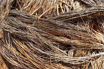 Woven Wood texture. Detail of decor out of many twigs.