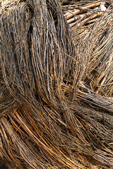 Woven Wood texture. Detail of decor out of many twigs.