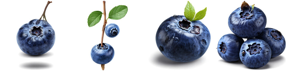 Obraz premium Set of blueberry illustrations with no background. Collage of png berry illustration with transparency.