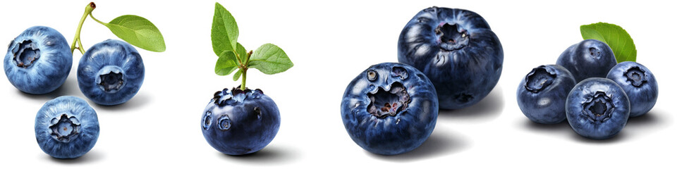 Set of blueberry illustrations with no background. Collage of png berry illustration with transparency.