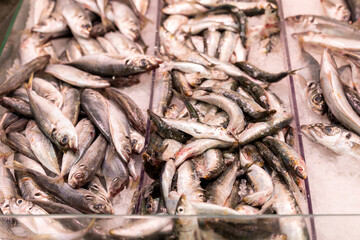 This image shows a variety of fresh fish laid out on ice presumably at a seafood market, with blurred faces behind the stall