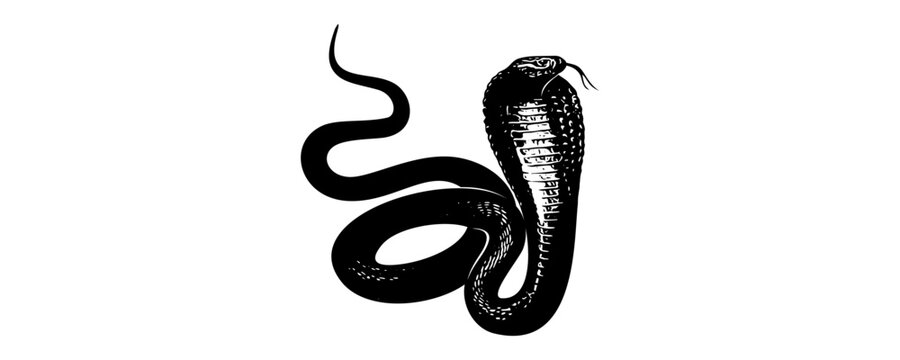 snake silhouette vector