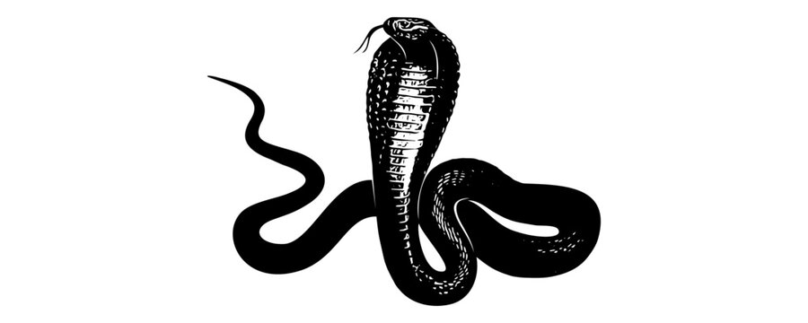 snake silhouette vector