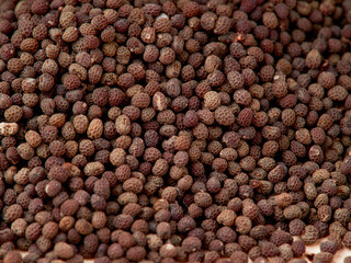 Dried poppy capsules with seeds against white background