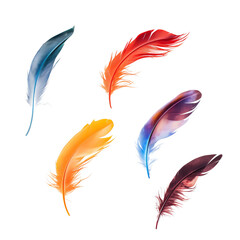 Colorful watercolor feathers illustration with vibrant hues, perfect for design elements, backgrounds, and artistic projects.