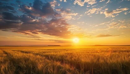 Obraz premium The warm colors of the sunset and the golden hue of the wheat field create a beautiful and peaceful scene.