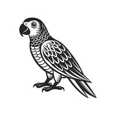 Tropical parrot bird. Black silhouette on a white background. Engraving, tattoo. Illustration