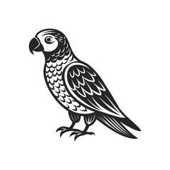Tropical parrot bird. Black silhouette on a white background. Engraving, tattoo. Illustration