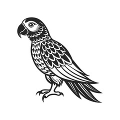 Tropical parrot bird. Black silhouette on a white background. Engraving, tattoo. Illustration