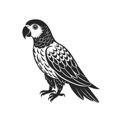 Tropical parrot bird. Black silhouette on a white background. Engraving, tattoo. Illustration
