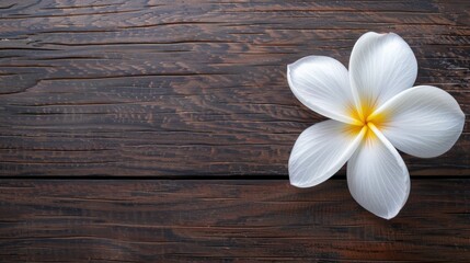 Naklejka premium White Plumeria flower on wooden table top view with space for text