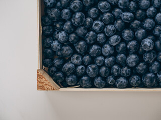 Tray of fresh blueberries, top view
