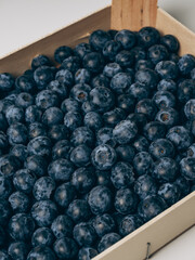 Fresh blueberries in a tray close-up