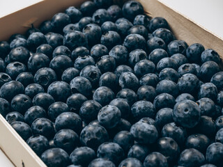 Fresh blueberries in a tray close-up