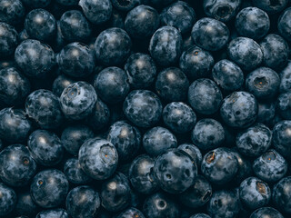 Fresh blueberry background. Close up, top view.