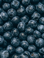 Fresh blueberry background. Close up, top view.