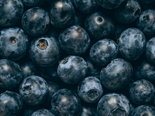 Fresh blueberry background. Close up, top view.