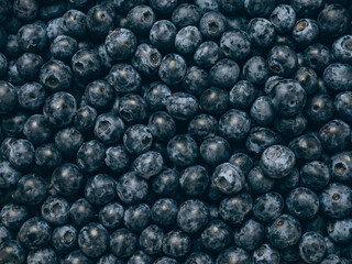 Fresh blueberry background. Close up, top view.