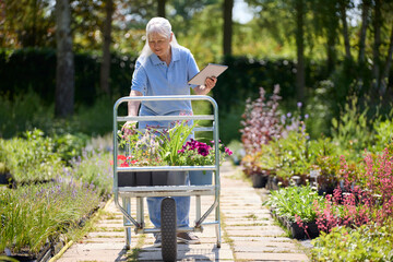 Retired Senior Woman Working Part Time Job In Garden Centre Checking Plants On  Trolley With Digital Tablet