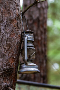 Lighting equipment. Old paraffin lamp Meva 863 hang in tree.