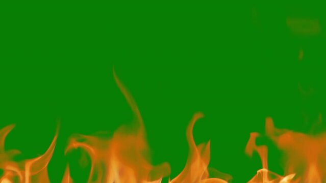 Abstract flames background. Fire burning, tongues of fire. Bright burning flames green chromakey background. Fire in slow motion. Wall of Real fire, abstract background. Super slow motion video