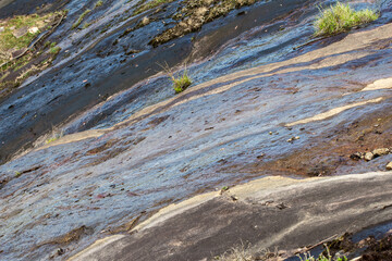 Water oozing out of the rocks in Eravikulam National Park situated in the Kannan Devan Hills near...