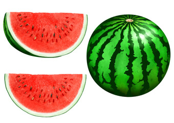ベクター  丸ごとスイカとカットされたスイカ