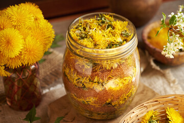 Glass jar filled with fresh dandelion flowers and brown sugar - preparation of homemade syrup © Madeleine Steinbach