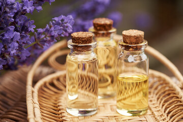 Bottles of aromatherapy essential oil with fresh blooming lavender plant