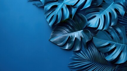 A tropical leaves Plant leaves are blue with with text space