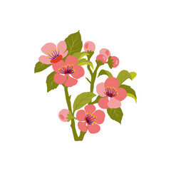 Fruits abstract elements. Food and healsy composition. Modern trendy Matisse minimal style. Fruits poster, invite. Vector arrangements for greeting card or invitation design