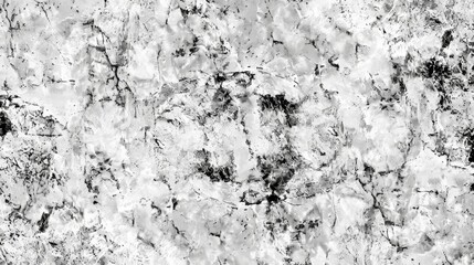 white gray marble seamless texture with high resolution for background