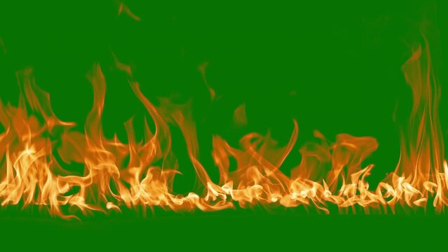 Abstract flames background. Fire burning, tongues of fire. Bright burning flames green chromakey background. Fire in slow motion. Wall of Real fire, abstract background. Super slow motion video