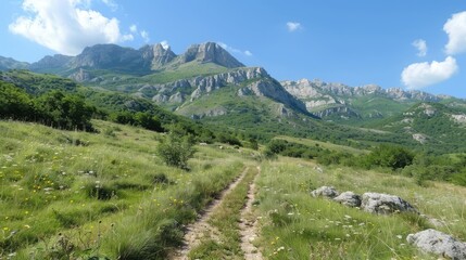 View of the mountain on a long hiking trail to see
