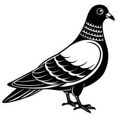 Silhouette bird pigeon of peace