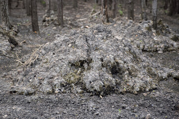 a pile of soil on the ground