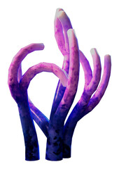 3D Rendering Coral on White © photosvac