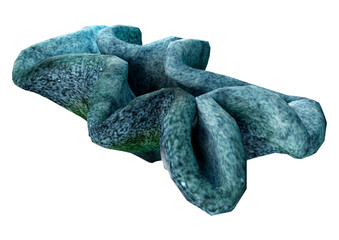 3D Rendering Coral on White