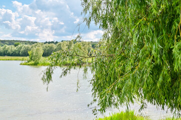 Natur See Baum Enspannung