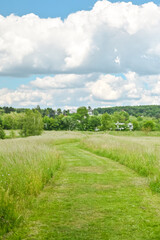 Natur See Baum Enspannung