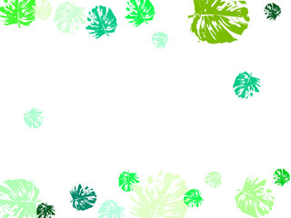 eco concept. top view. flat lay.