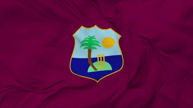A beautiful view of the West Indies flag video. 3d flag-waving video. West  Indies flag 4K resolution.