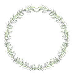 couronne d’olivier, fond blanc 