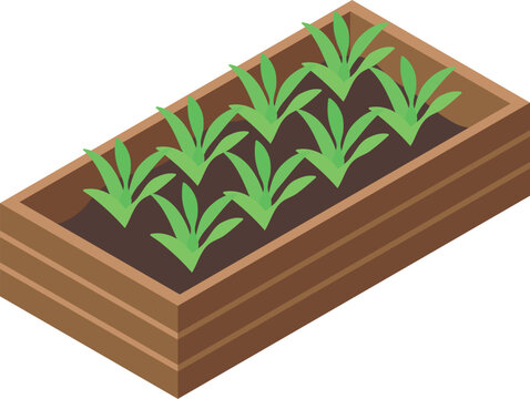 Home gardening growing plants in raised bed isometric view