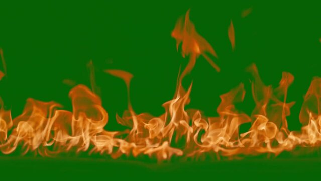 Abstract flames background. Fire burning, tongues of fire. Bright burning flames green chromakey background. Fire in slow motion. Wall of Real fire, abstract background. Super slow motion video