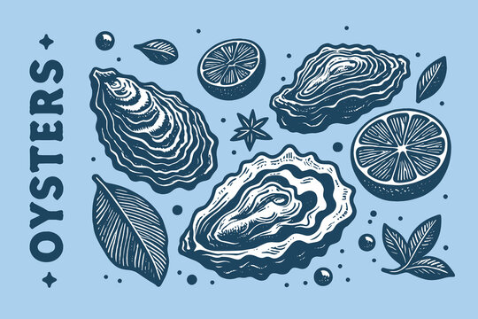 Oysters set. vintage blue engraving illustration. isolated object. Icon, logo, emblem.