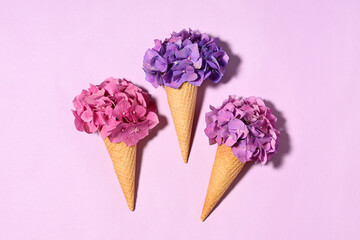 Ice cream cones with hydrangea flowers
