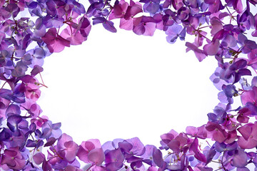 Frame of hydrangea flowers